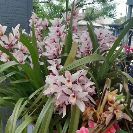 Kuca Za Odmor Petra Cepljani