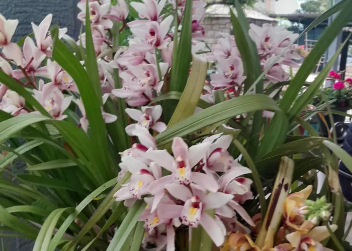 Kuca Za Odmor Petra Cepljani